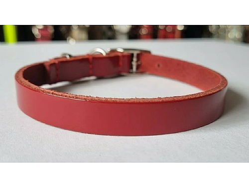 Red - Leather Dog Collar - Size XS - Puppy
